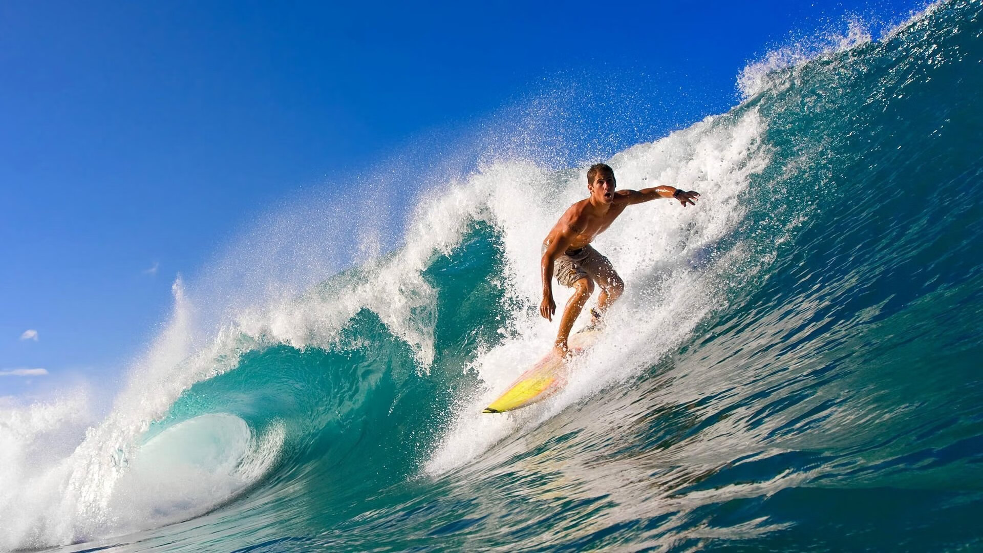 AYX体育-福建鲟龙攻守平衡提升球队竞争力，鲟龙鱼是什么鱼啊_